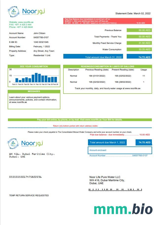Szablon rachunku za media ZEA Noor Life Pure Water LLC w formacie Word i PDF